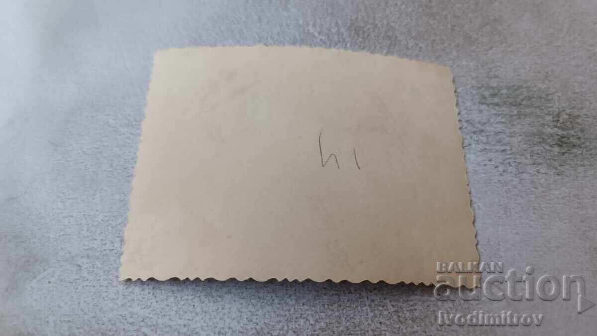 Delivery of Photo Skopje Regional Office for Agriculture