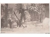 Ευχετήρια Κάρτα Σκιέρ Χ. Μίτοφ Σαμοκόβ ΤΚ