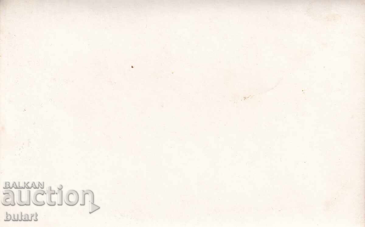 Пощенска картичка Бюст Паметник Любен Каравелов ПК с цена 10.00 лв. | € 5.11