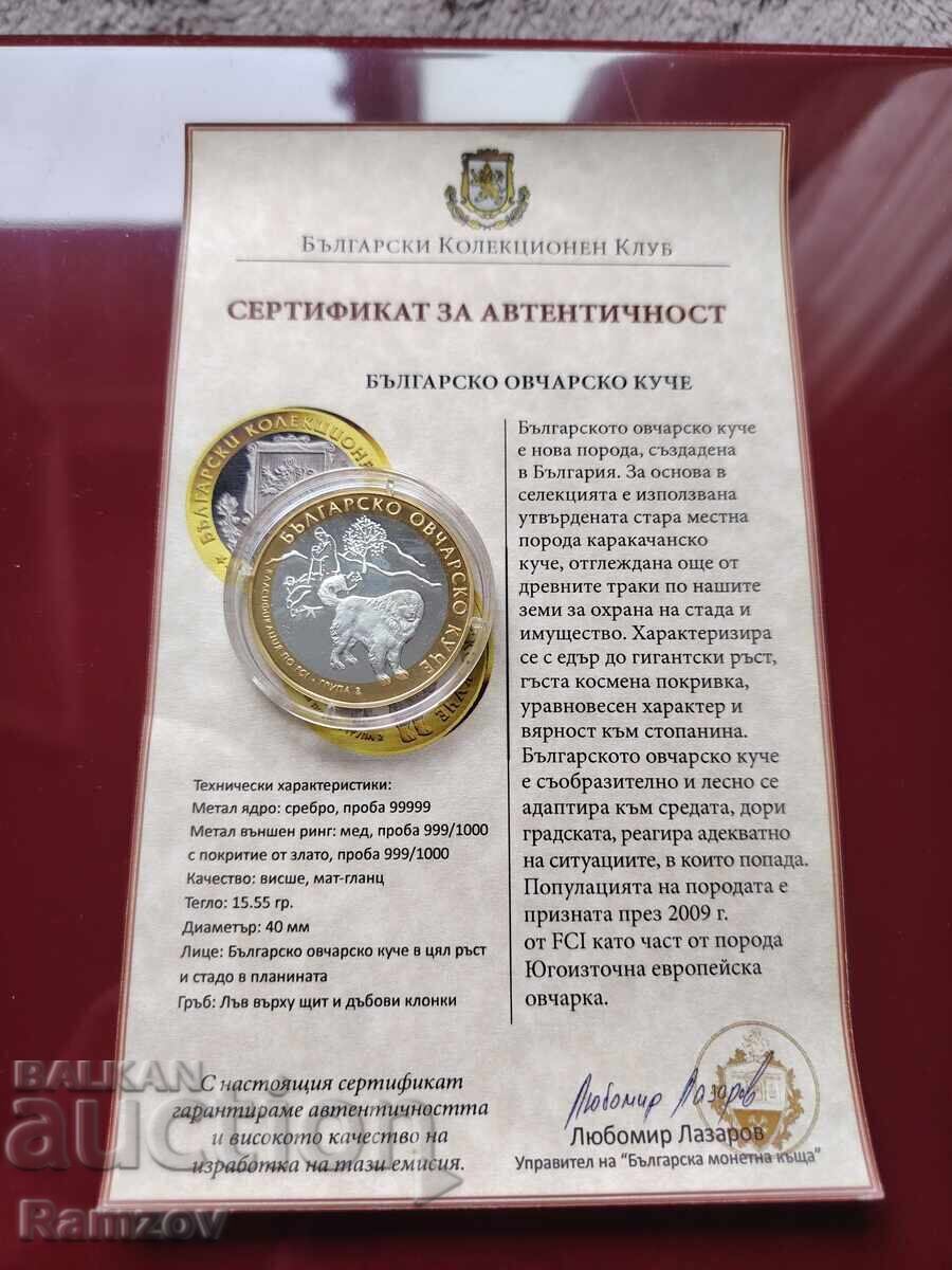 Βουλγάρικο ποιμενικό σκυλί