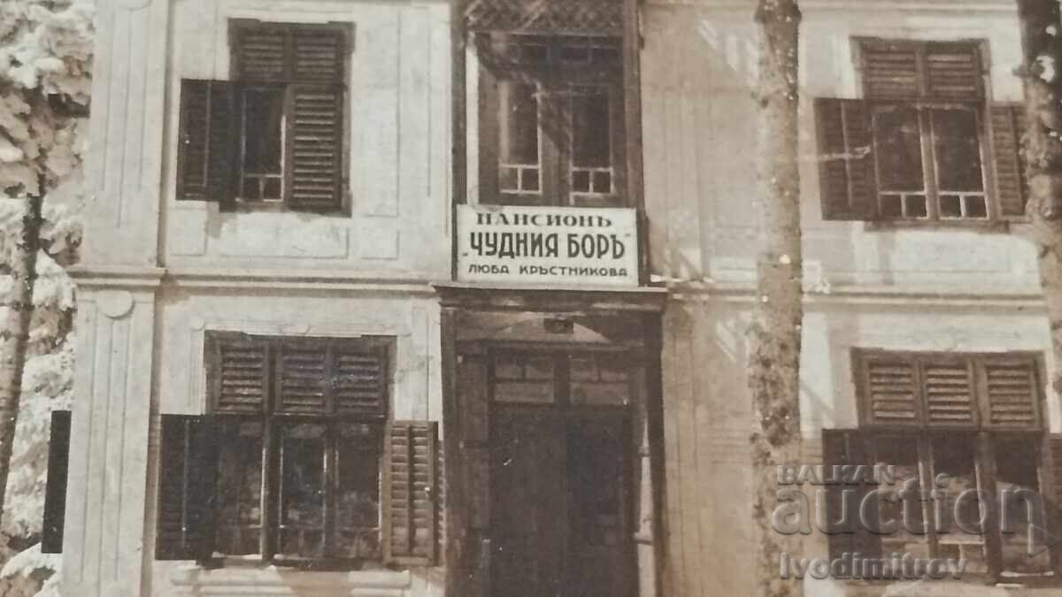 Π Κ Τσαμύ Κορία Πανσιόν: Το υπέροχο πεύκο της Λιούμπα Κράσνικοβα με τιμή 4.35 BGN | € 2.22 Π Κ Τσαμύ Κορία Πανσιόν: Το υπέροχο πεύκο της Λιούμπα Κράσνικοβα με τιμή 4.35 BGN | € 2.22