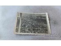 Fotografie Sofia Manifestație