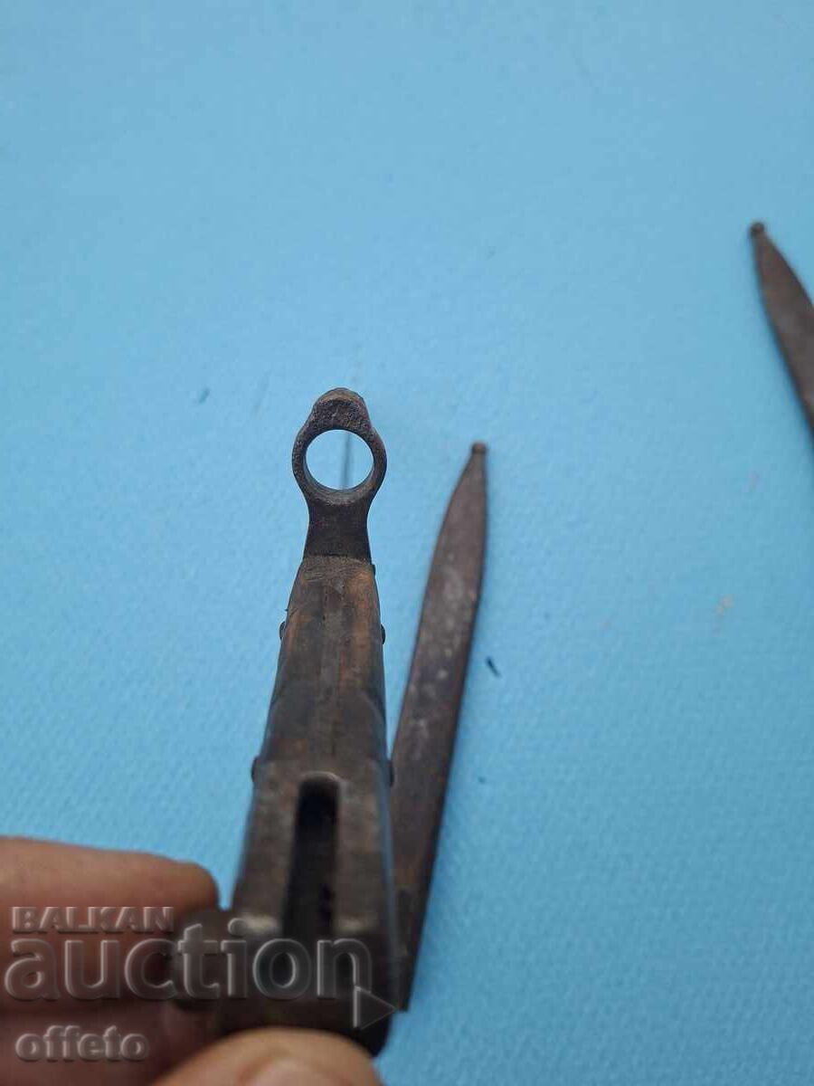 Auction CHICK WITH KANYA Auction CHICK WITH KANYA