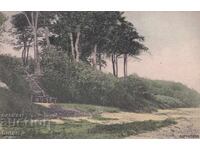 Cartolină Poștală Regatul B-ia Vrața Circulată PC