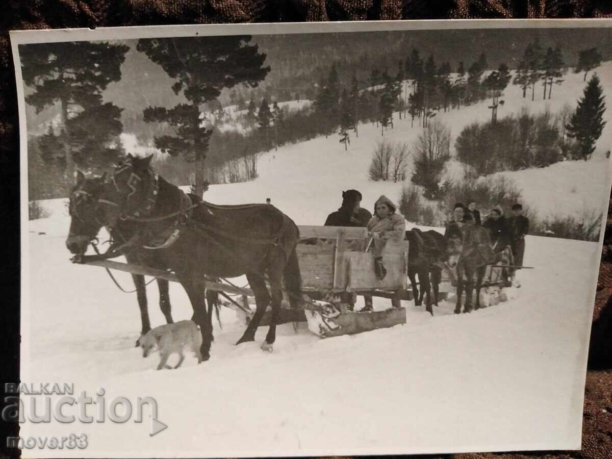 Old photos. Bulgaria. Winter. The 30s with price 2.75 BGN | € 1.41 Old photos. Bulgaria. Winter. The 30s with price 2.75 BGN | € 1.41