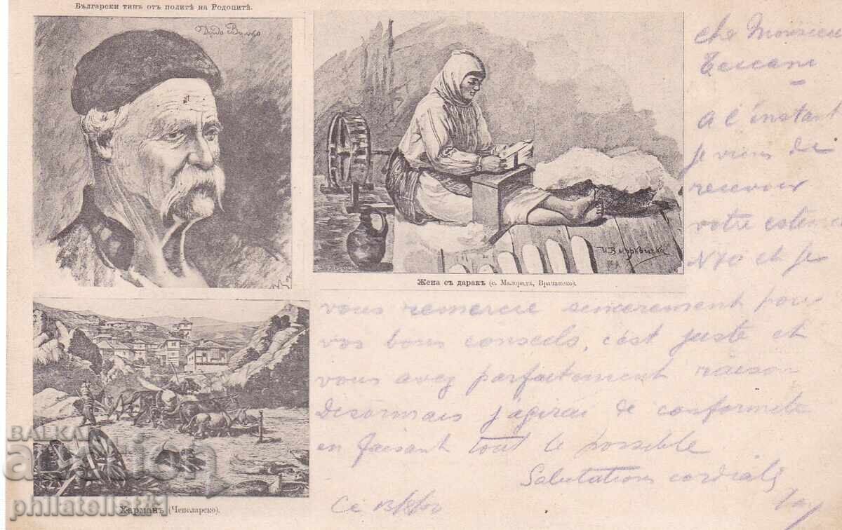 Ethnography 1900. Postcard from Sofia 1 with a small lion couple