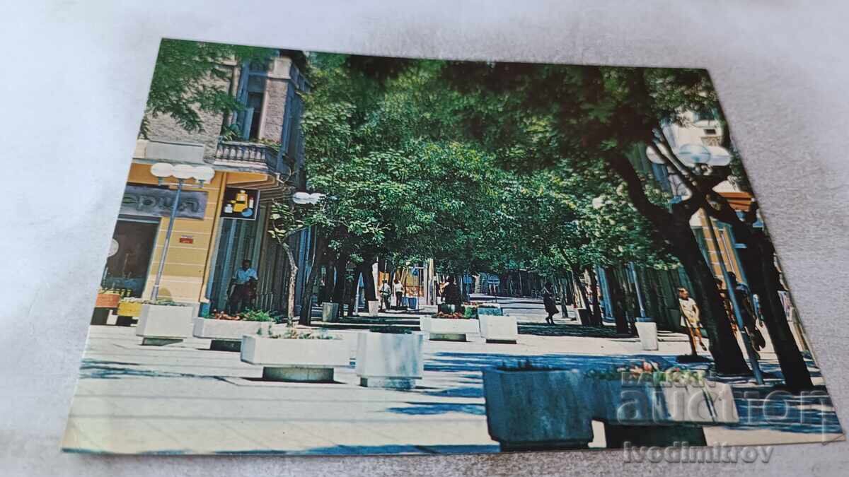 Ταχυδρομική κάρτα Πομόριε Κέντρο 1983