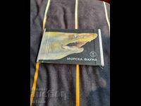 Children's Book Sea Fauna