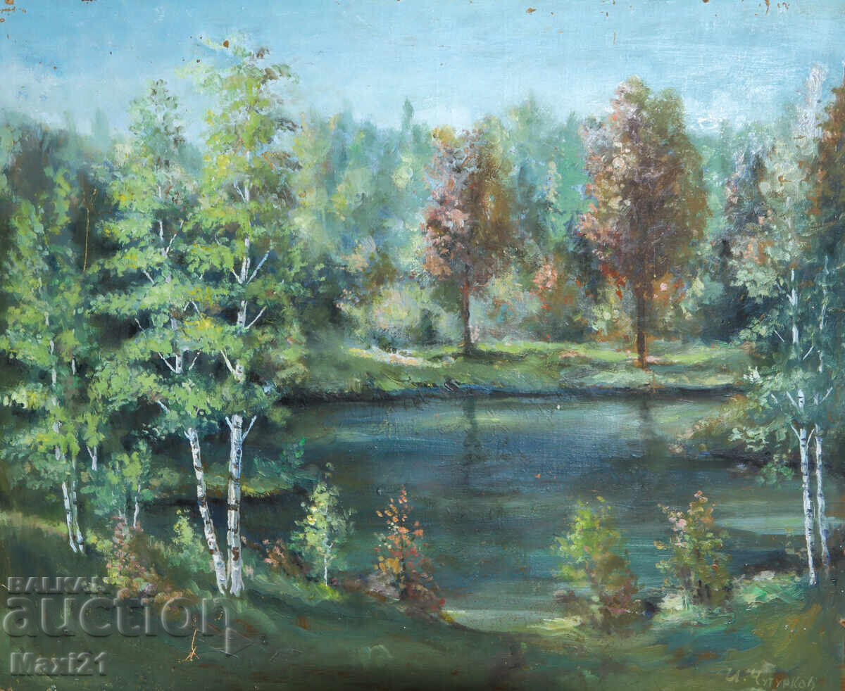 Έργο ζωγραφικής με λάδι τοπίο ορεινή λίμνη 1989 με τιμή 300.00 BGN | € 153.39