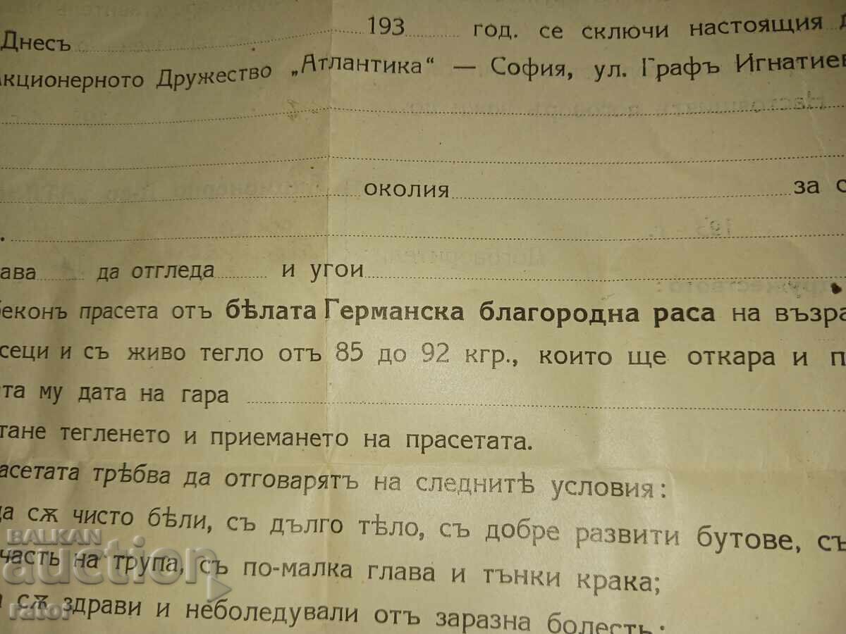 Contract for the purchase of pigs 193... year. Interesting Contract for the purchase of pigs 193... year. Interesting