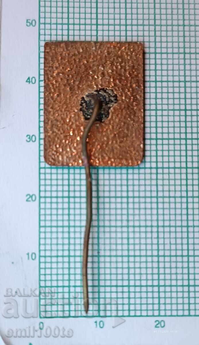 Ecuson - Asociația Turistică Sărnena Gora Stara Zagora - 5