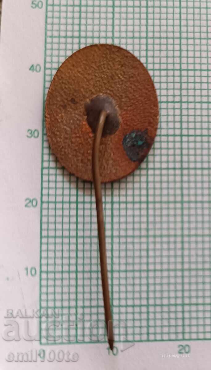 Παράδοση Znachka - Svetovno pŭrvenstvo po khudozhestvena gimnastika Βάρνα 69