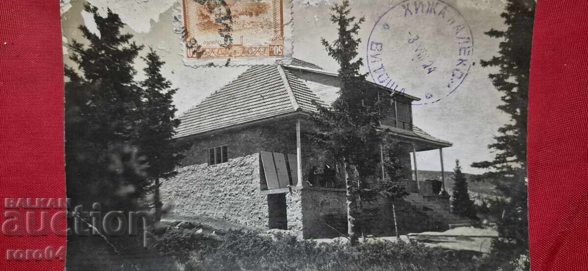 ΒΙΤΟSHA - ΧΙΖΑ "ΑΛΕΚΟ" με τιμή 20.00 BGN | € 10.23