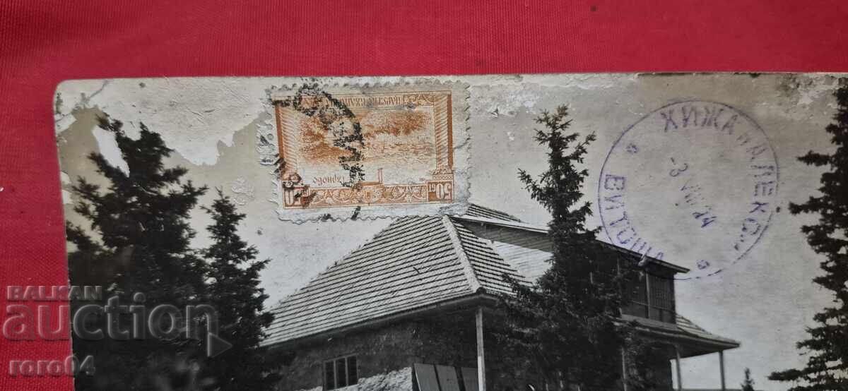 Δημοπρασία ΒΙΤΟSHA - ΧΙΖΑ "ΑΛΕΚΟ"