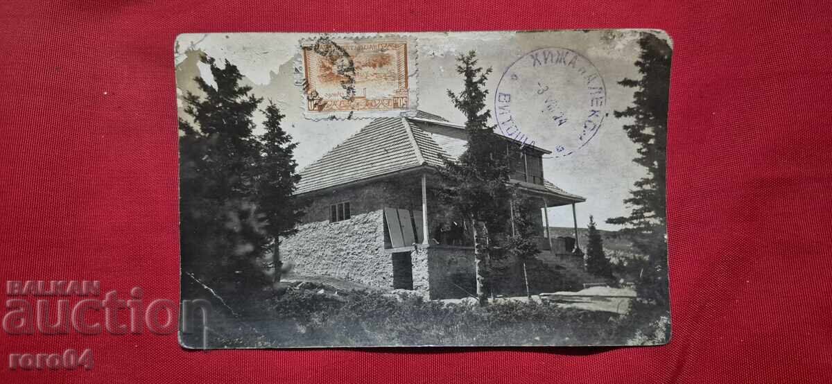 ΒΙΤΟSHA - ΧΙΖΑ "ΑΛΕΚΟ"