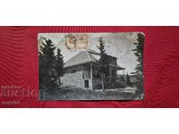 ΒΙΤΟSHA - ΧΙΖΑ "ΑΛΕΚΟ"