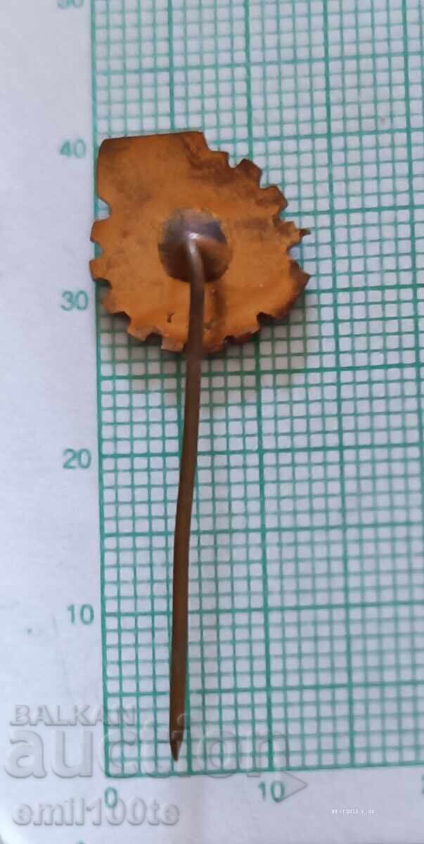 Delivery of Badge - CNIITMASH Sofia