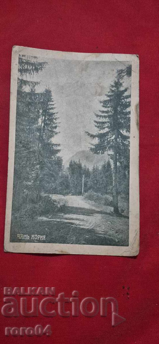 ЧАМЪ КОРИЯ - АНОНИМНА И РЯДКА П.К. с цена € 25.99 | 50.83 лв.