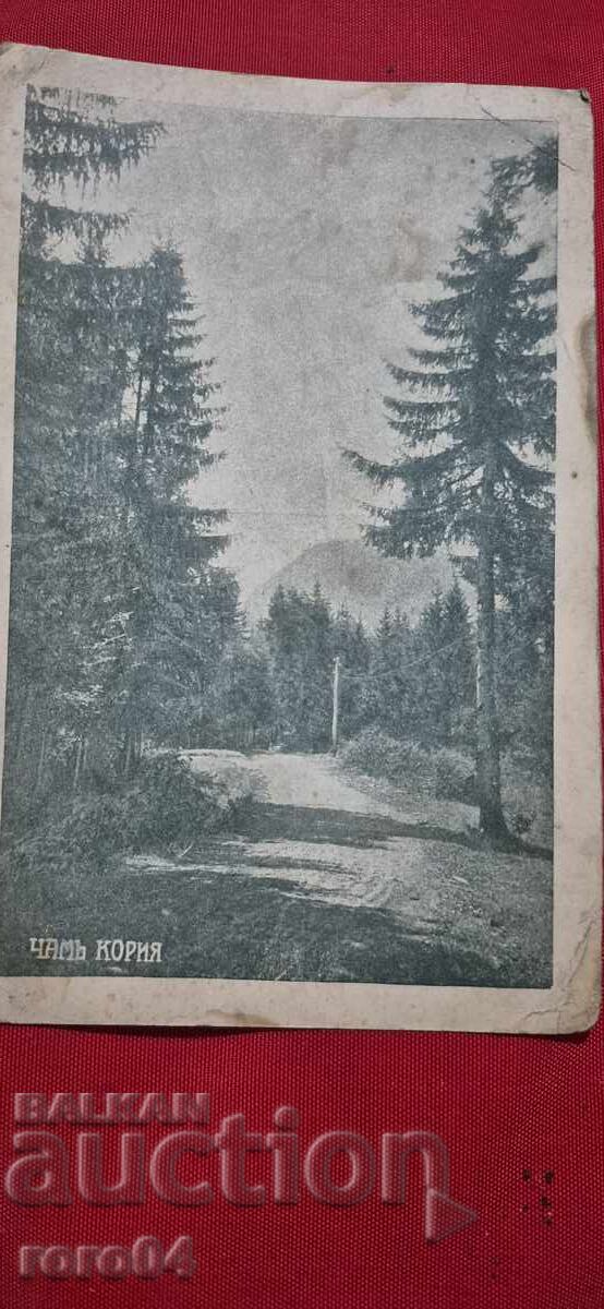 Δημοπρασία ΤΣΑΜΙ ΚΟΡΙΑ - ΑΝΩΝΥΜΗ ΚΑΙ ΣΠΑΝΙΑ Π.Κ Δημοπρασία ΤΣΑΜΙ ΚΟΡΙΑ - ΑΝΩΝΥΜΗ ΚΑΙ ΣΠΑΝΙΑ Π.Κ