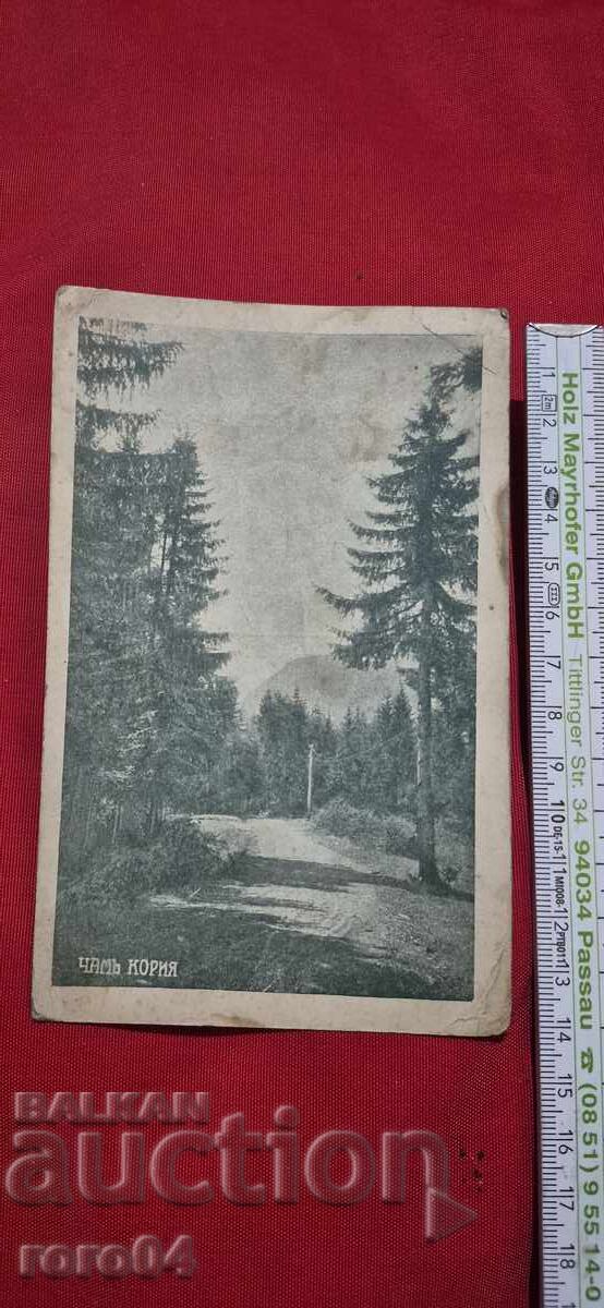 Παράδοση ΤΣΑΜΙ ΚΟΡΙΑ - ΑΝΩΝΥΜΗ ΚΑΙ ΣΠΑΝΙΑ Π.Κ Παράδοση ΤΣΑΜΙ ΚΟΡΙΑ - ΑΝΩΝΥΜΗ ΚΑΙ ΣΠΑΝΙΑ Π.Κ