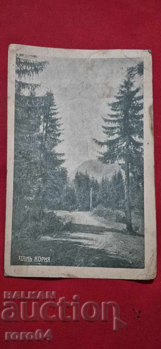 ЧАМЪ КОРИЯ - АНОНИМНА И РЯДКА П.К. - 7