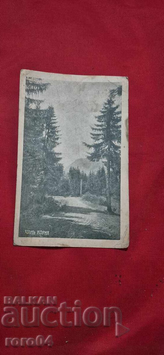 ЧАМЪ КОРИЯ - АНОНИМНА И РЯДКА П.К.