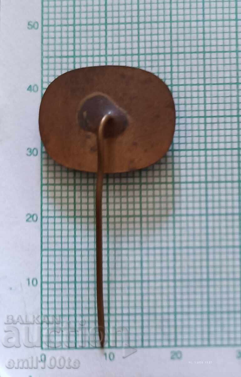 Badge - Nikola Vaptsarov - 5