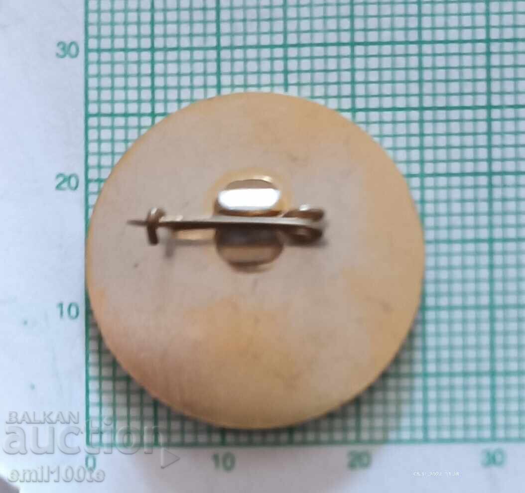 Delivery of Badge - Public Fund Childhood of the People's Republic of Bulgaria Delivery of Badge - Public Fund Childhood of the People's Republic of Bulgaria