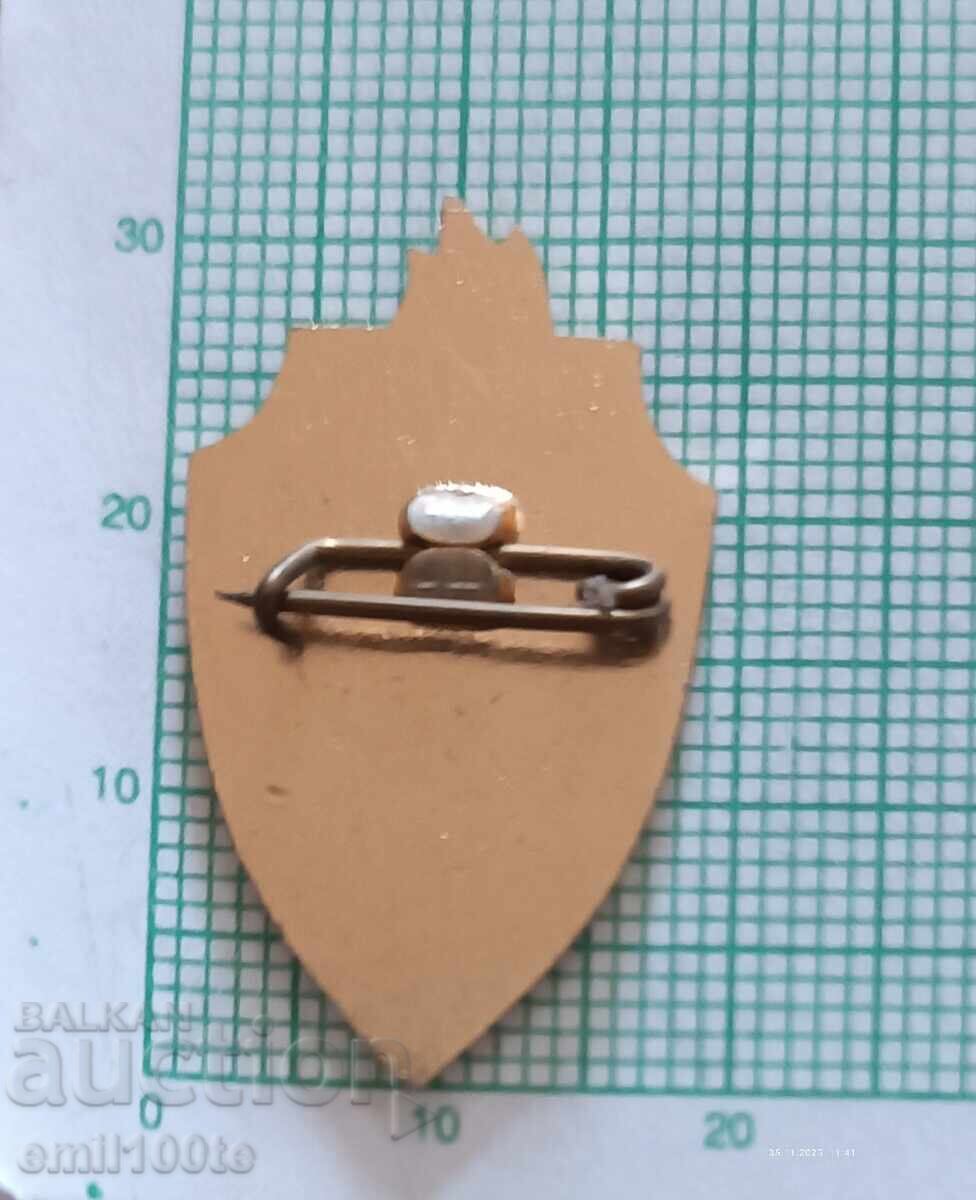 Значка- Зарніца - мълния - светкавица - 5