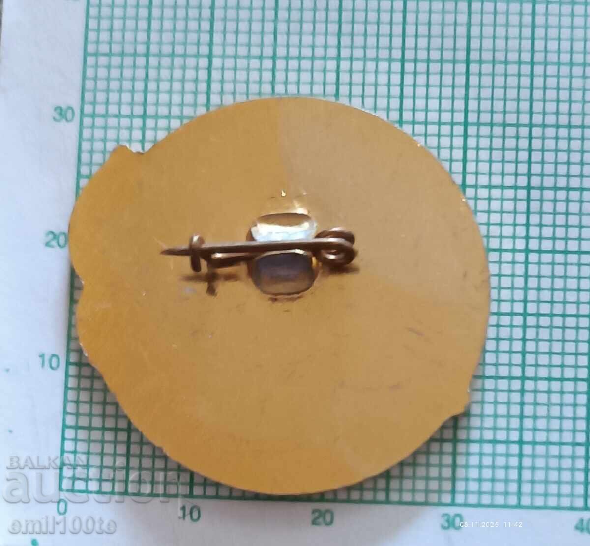 Delivery of Badge - Congress of the People of Kliptown 35 g. Freedom Charter