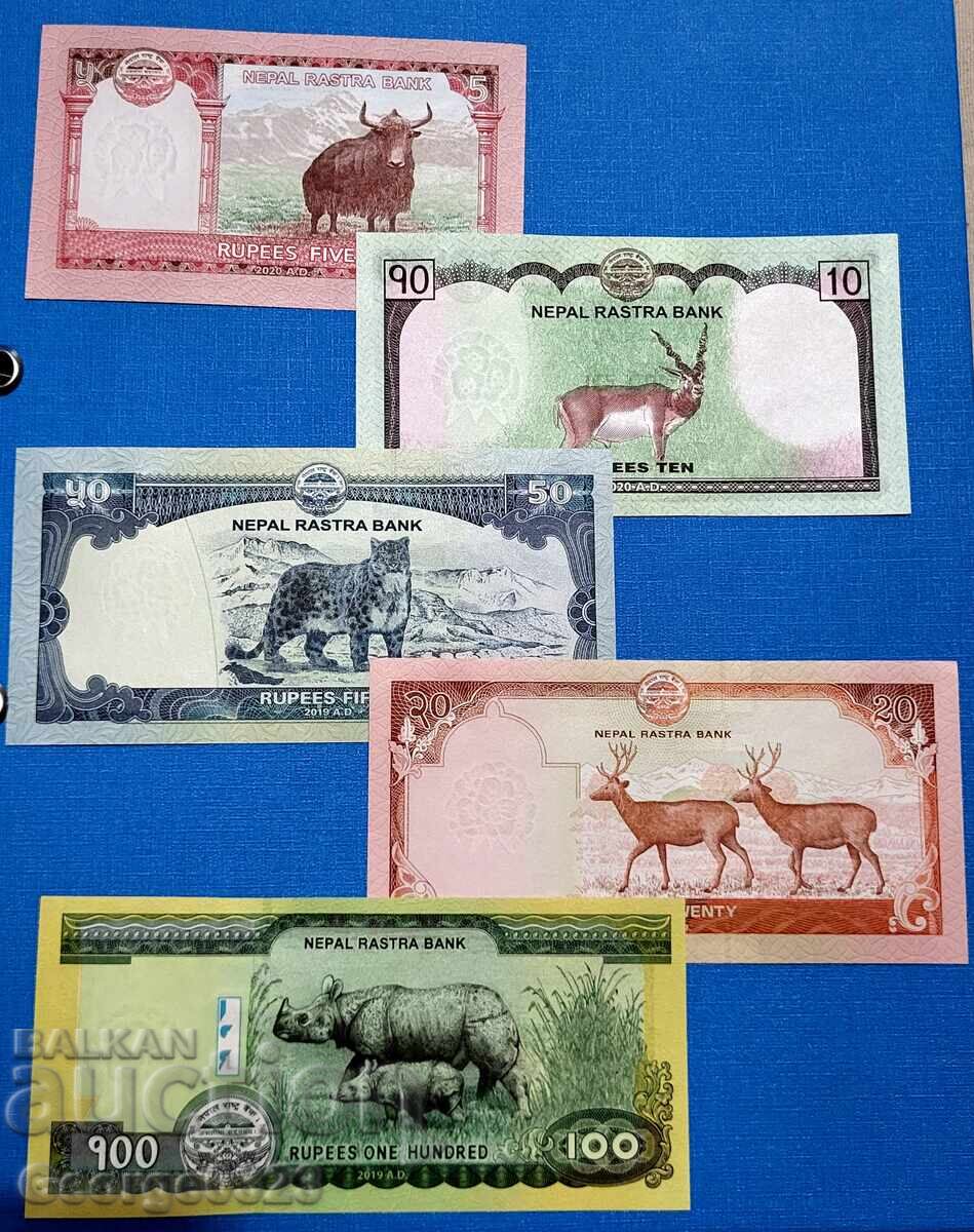 Nepal 5 piece set 5 10 20 50 100 Rupees UNC New
