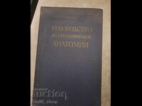 Pathological Anatomy Guide