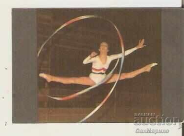 Ημερολόγιο Σπορ-Τότο 1981. Ρυθμική Γυμναστική Ημερολόγιο Σπορ-Τότο 1981. Ρυθμική Γυμναστική