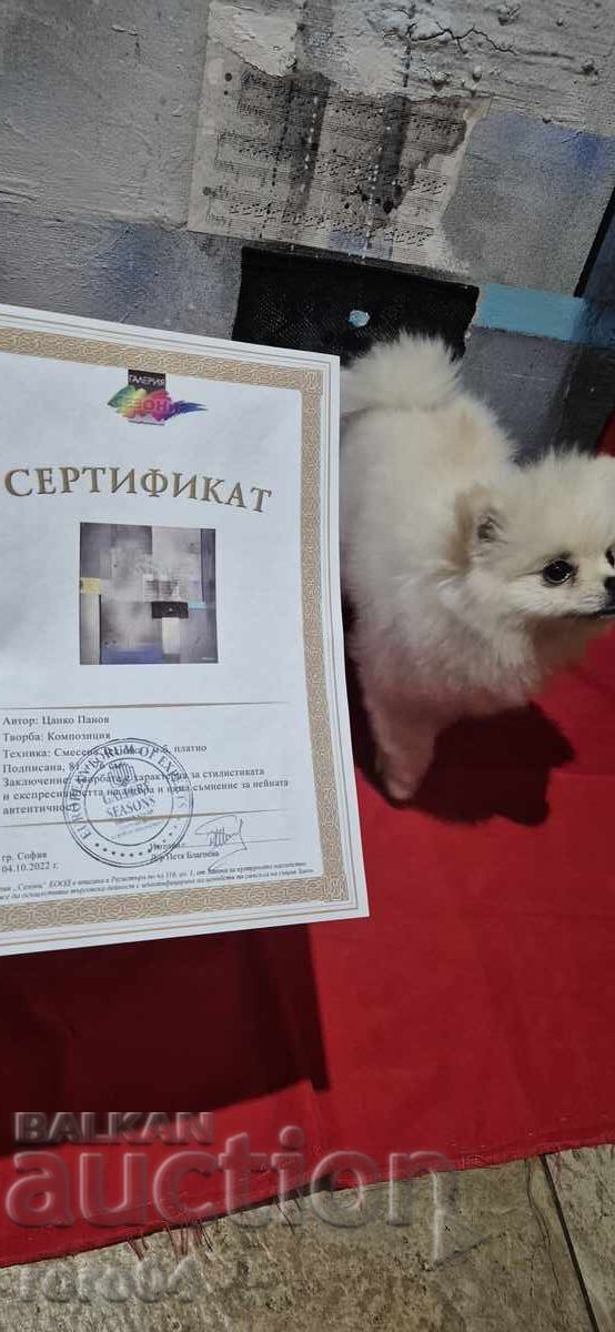 TSANKO PANOV (1950 - 2003) COMPOSITION - 7 TSANKO PANOV (1950 - 2003) COMPOSITION - 7