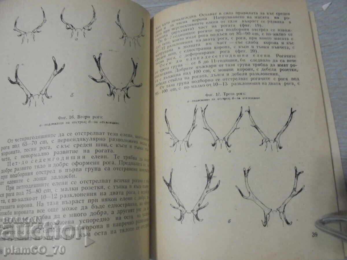 Δημοπρασία №*8349 Βολή σε μεγάλα θηράματα - Zemizdat, 1981 Δημοπρασία №*8349 Βολή σε μεγάλα θηράματα - Zemizdat, 1981