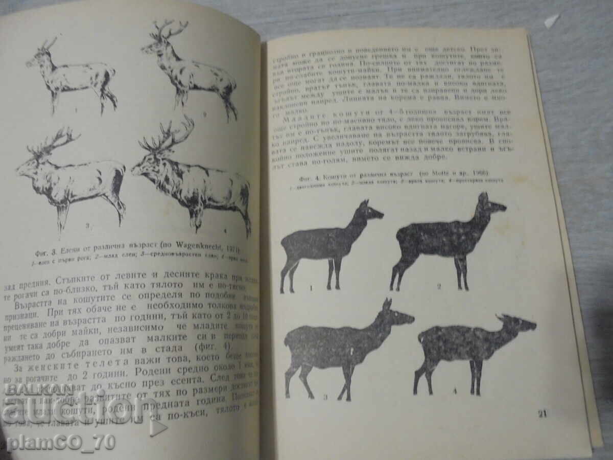 Παράδοση №*8349 Βολή σε μεγάλα θηράματα - Zemizdat, 1981 Παράδοση №*8349 Βολή σε μεγάλα θηράματα - Zemizdat, 1981