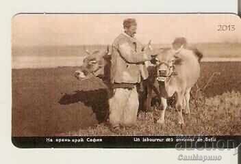 Calendar Near Oran, Sofia 2013 Calendar Near Oran, Sofia 2013