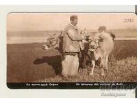 Calendar Near Oran, Sofia 2013