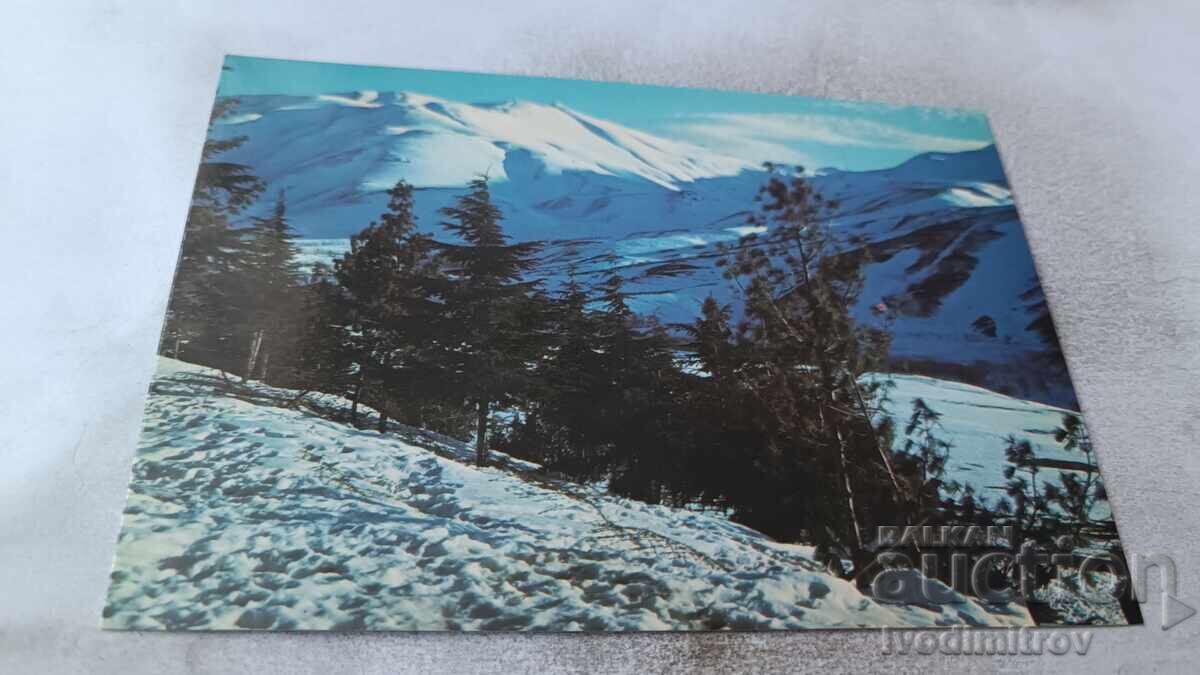 Postcard: Snow in Northern Iraq