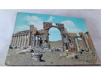 Postcard Palmyra Ruins 1967