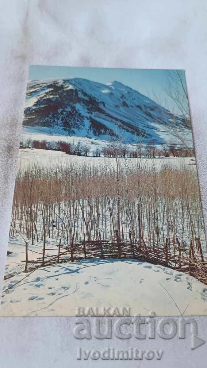 Postcard Winter in the North Arbil Had Omran