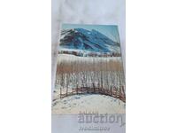 Postcard Winter in the North Arbil Had Omran