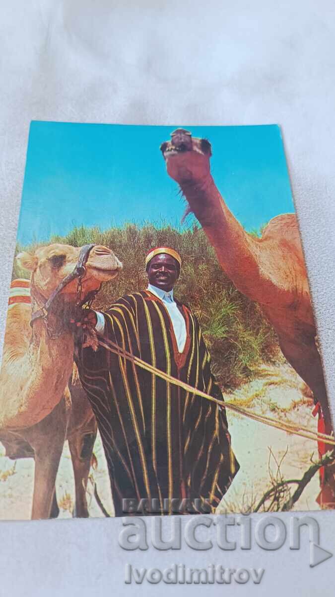 Postcard Sud Tunisien Un Chamerier 1972
