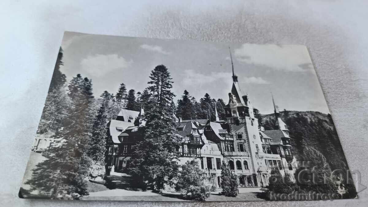 Καρτ ποστάλ Sinaia Muzeul Peles