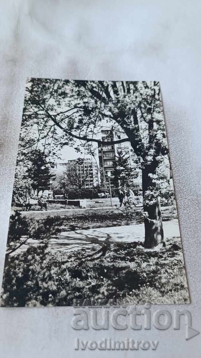 Καρτ ποστάλ Vedere din Timisoara Καρτ ποστάλ Vedere din Timisoara