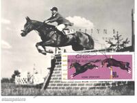 ΚΜ Ιππικός αθλητισμός