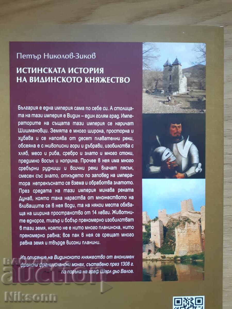 Истинската история на Видинското княжество - 5