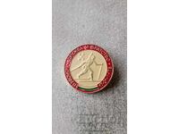 Insigna Prietenie și Fraternitate Boroveț 17 - 21. II. 1978