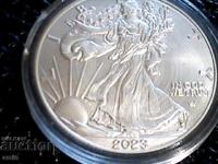 Silver American Coin 31 grams .999 purity