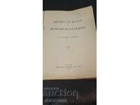 MISSIO ÎN BONA ȘI VÂNZAREA BUNURILOR 1919